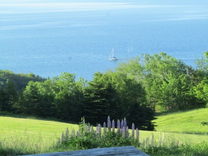 Bras-d'or-lake-sailboat