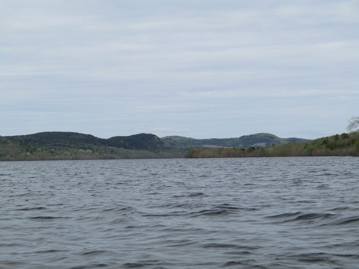 Hills of Kings County